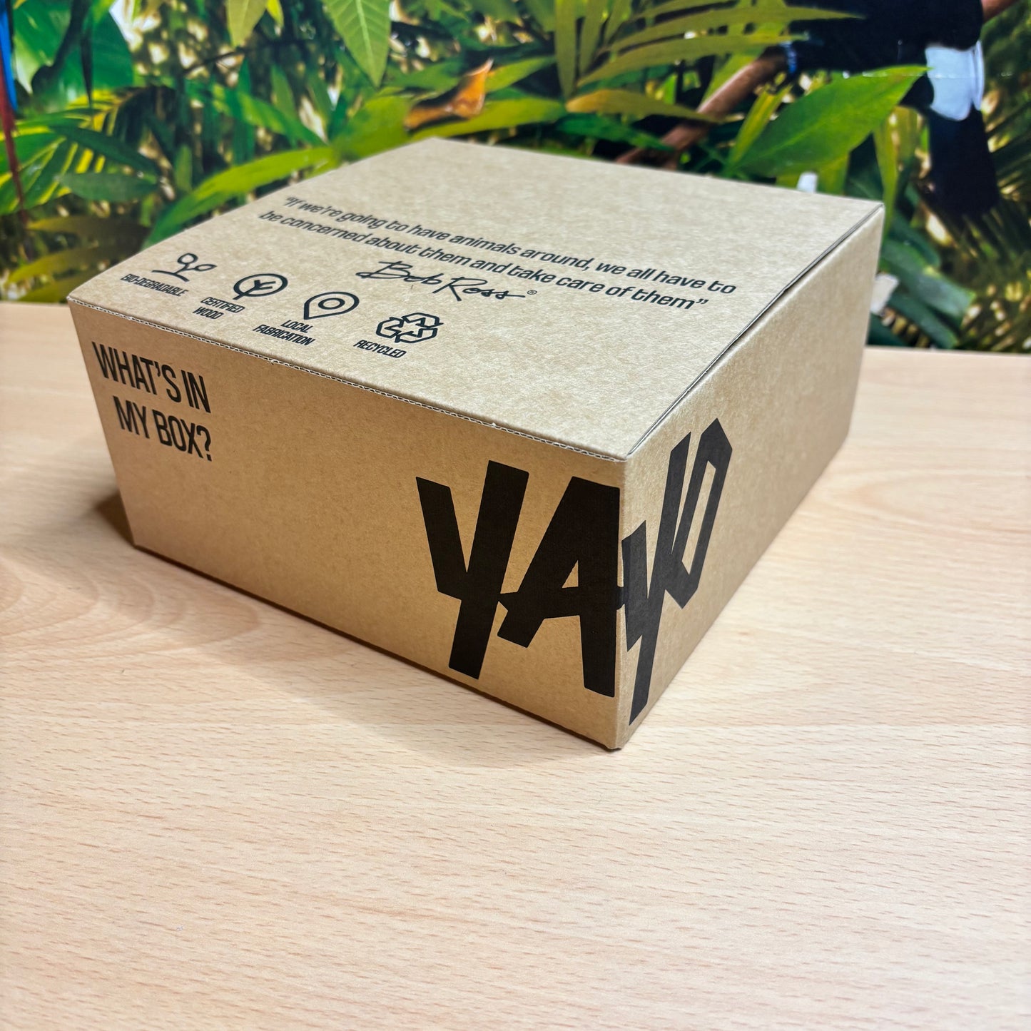 Yayo Jungle