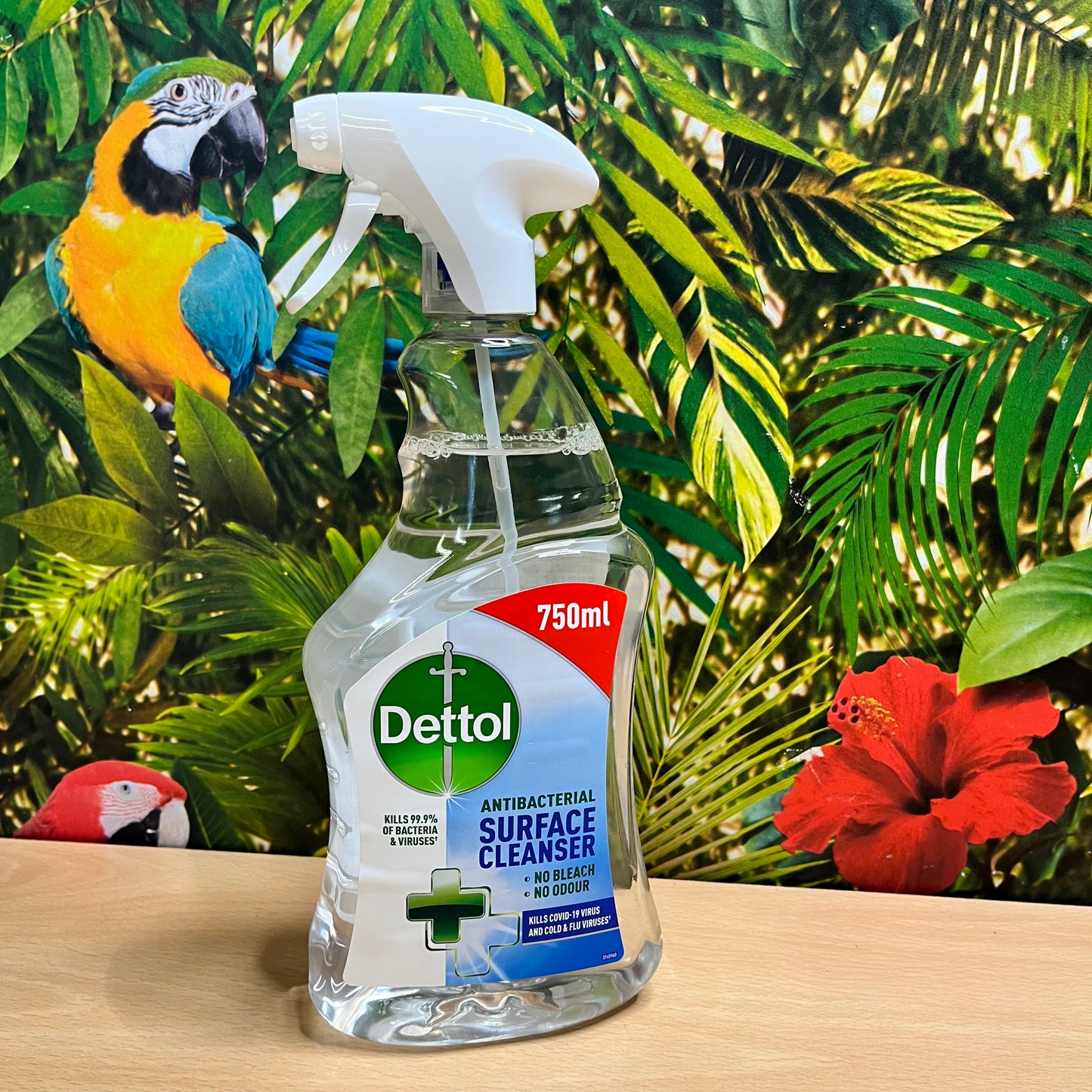 Dettol - Anti-Bacterial Surface Cleanser Spray - 750ml